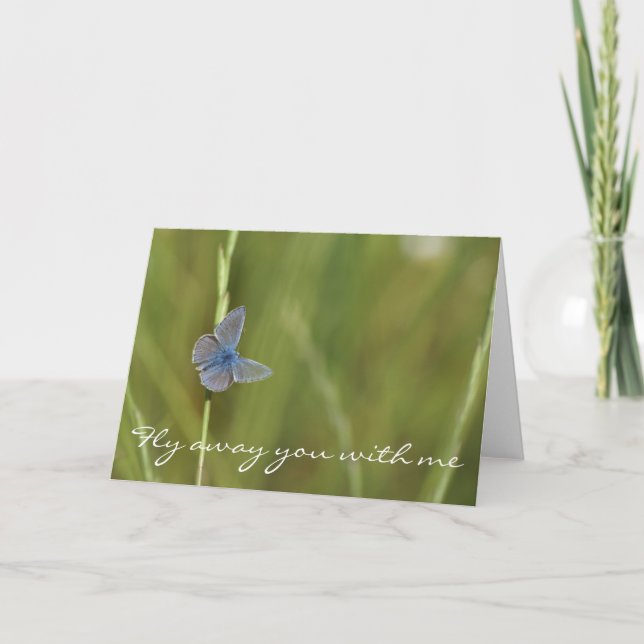 butterfly card (Front)