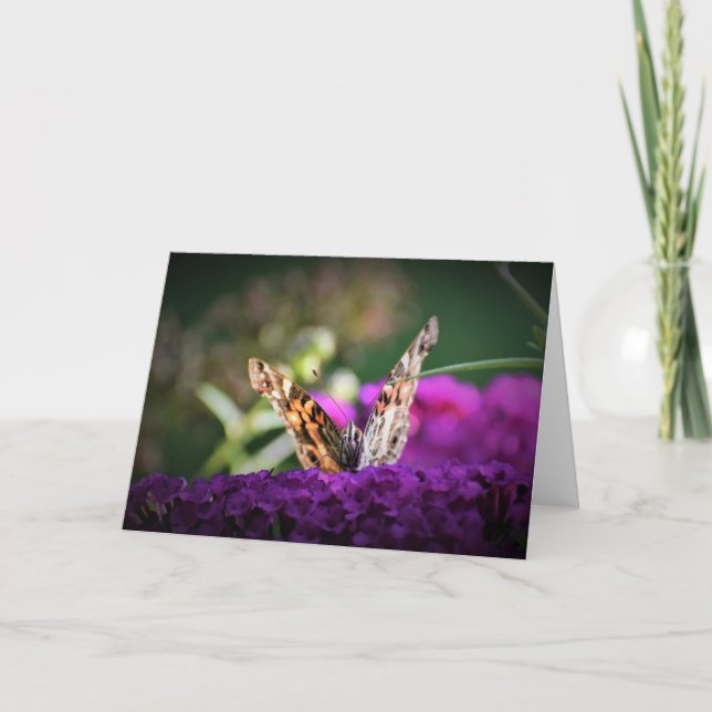 Butterfly, card (Front)