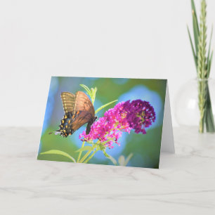 Butterfly, card
