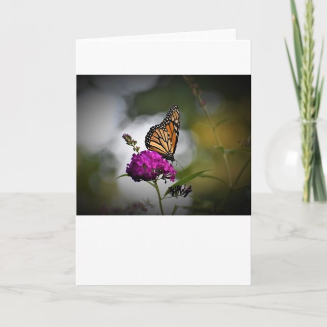 Butterfly, card (Front)