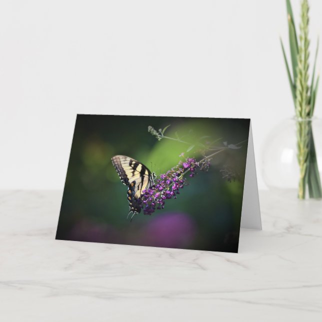 Butterfly, card (Front)