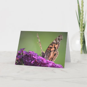 Butterfly, card