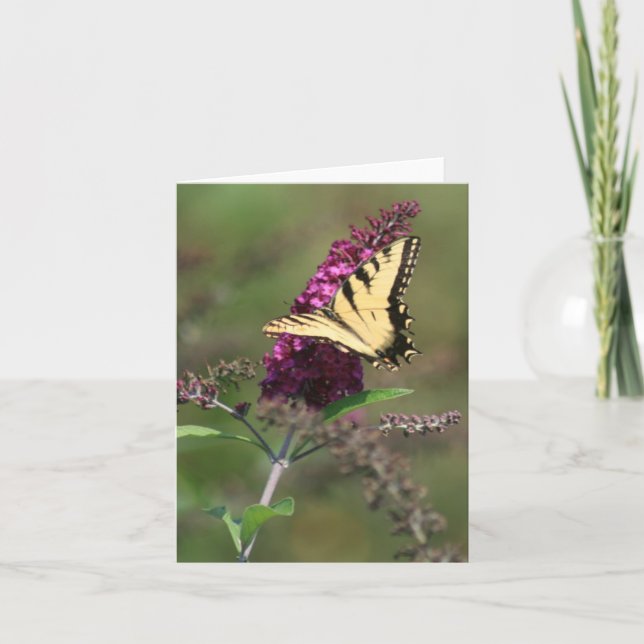Butterfly Card (Front)