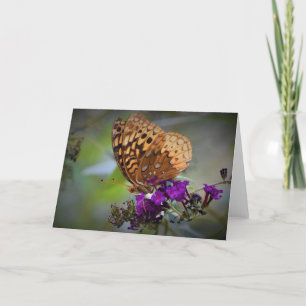 Butterfly, card