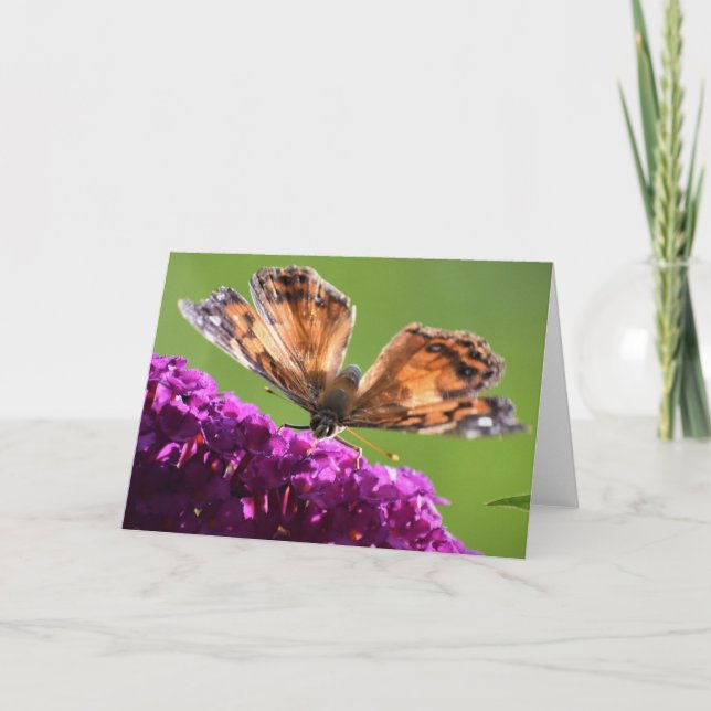 Butterfly, card (Front)
