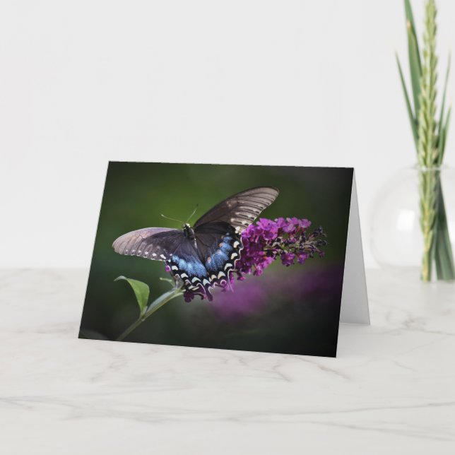 Butterfly, card (Front)