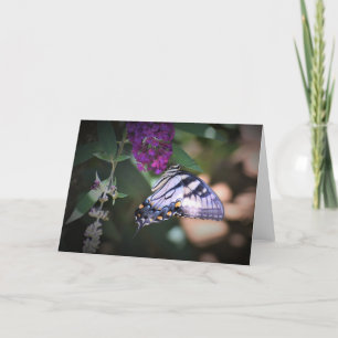 Butterfly, card