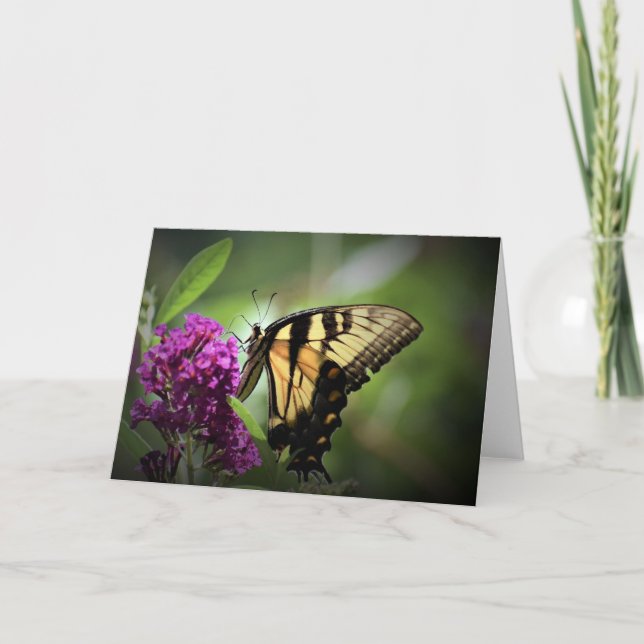 Butterfly, card (Front)