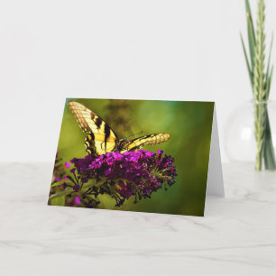Butterfly, card