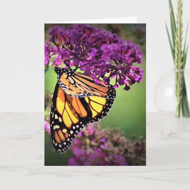 Butterfly, card (Front)