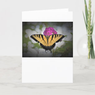 Butterfly, card