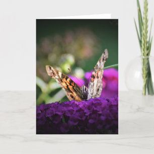 Butterfly, card