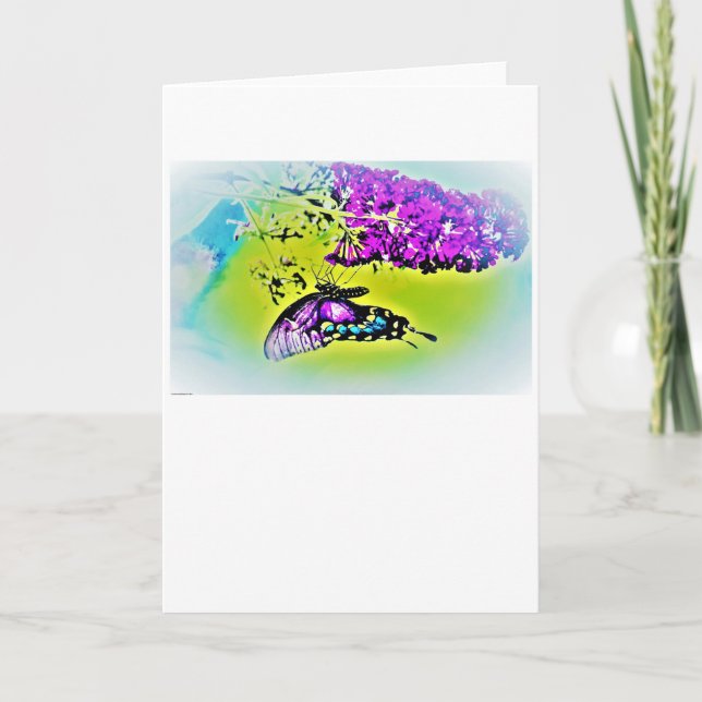 Butterfly, card (Front)