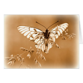 Butterfly Card