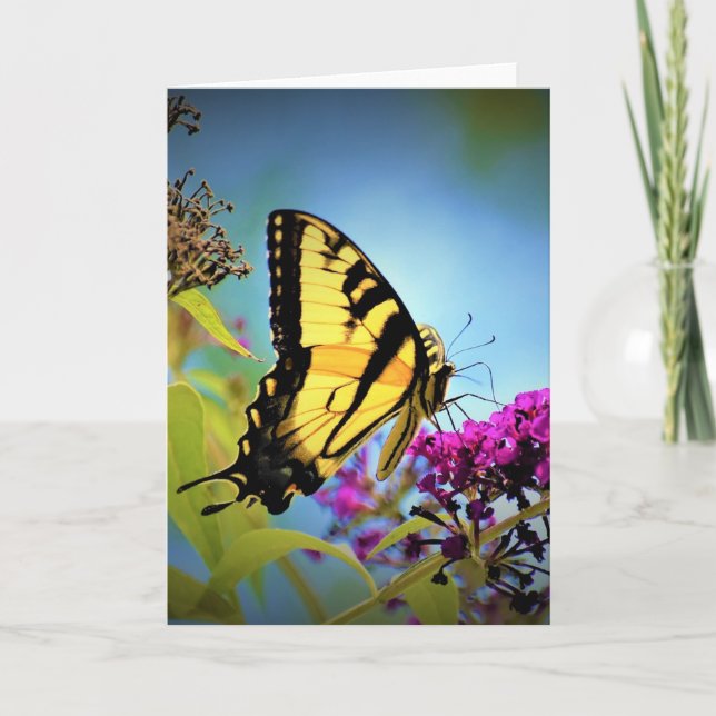 Butterfly, card (Front)