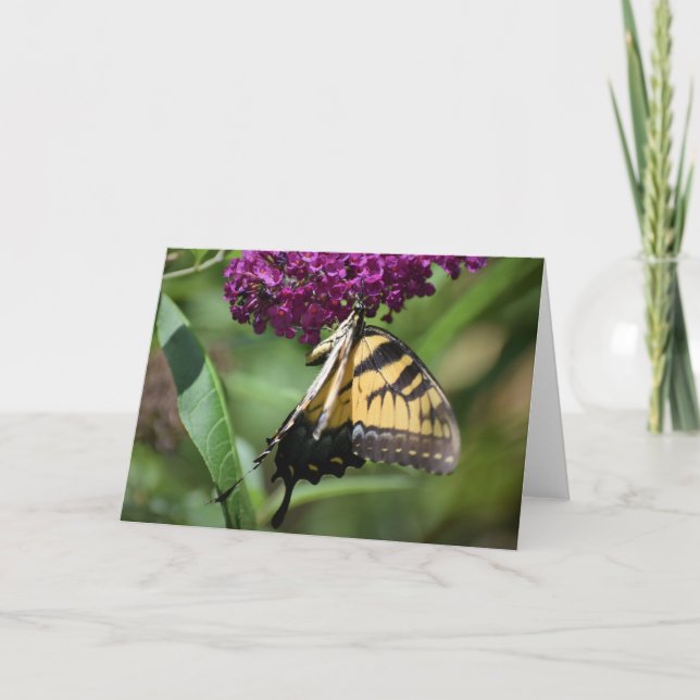 Butterfly, card (Front)