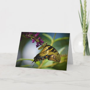 Butterfly, card