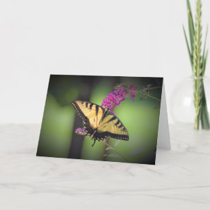 Butterfly, card