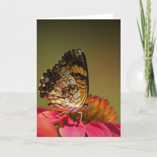 Butterfly, card