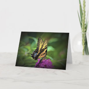 Butterfly, card