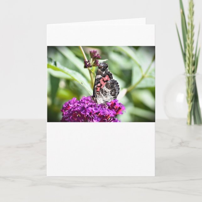 Butterfly, card (Front)