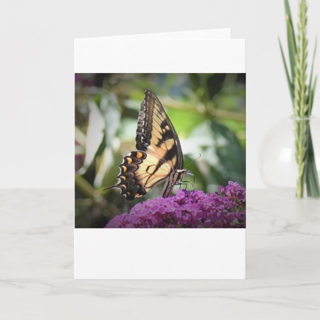 Butterfly, card (Front)