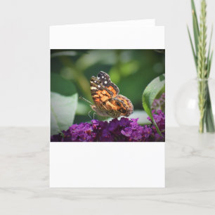 Butterfly, card