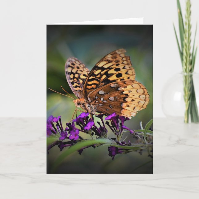 Butterfly, card (Front)
