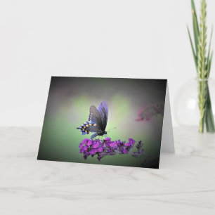 Butterfly, card
