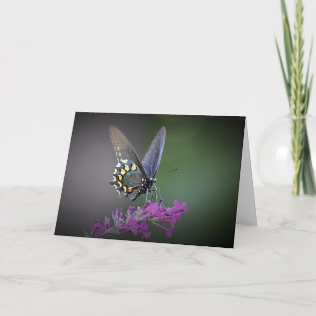 Butterfly, card (Front)