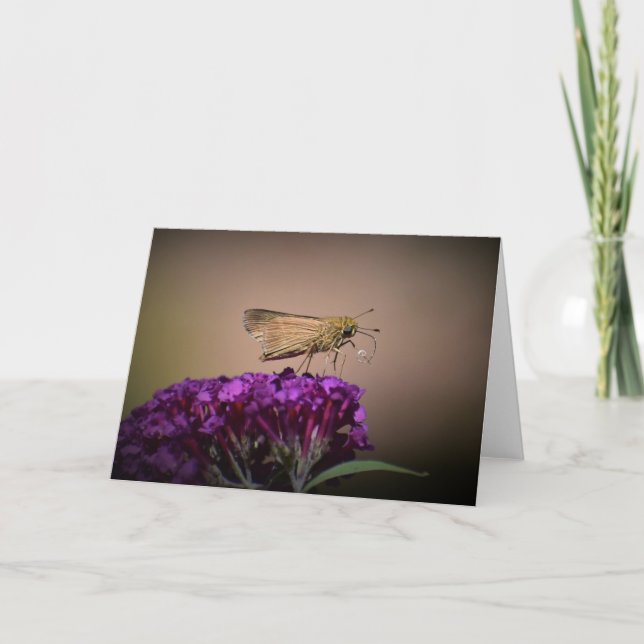 Butterfly, card (Front)