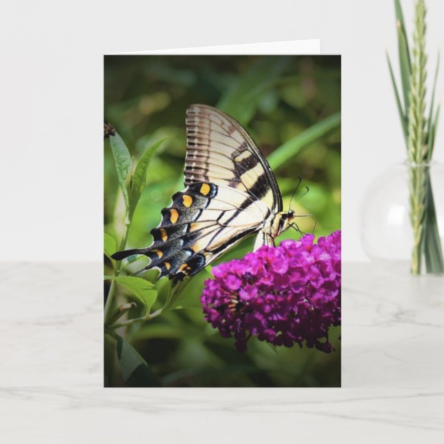 Butterfly, card (Front)