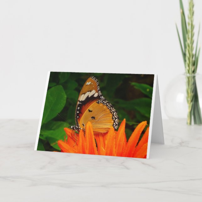 Butterfly Card (Front)