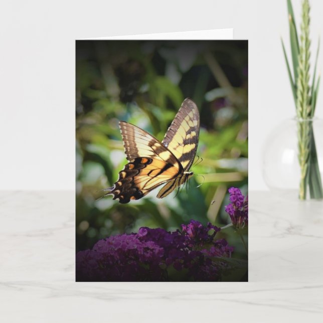 Butterfly, card (Front)