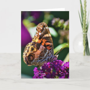 Butterfly, card