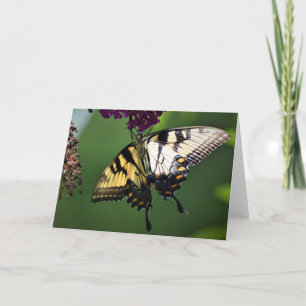 Butterfly, card