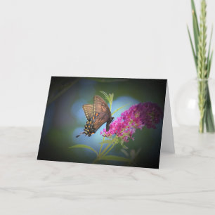 Butterfly, card