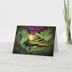 Butterfly, card