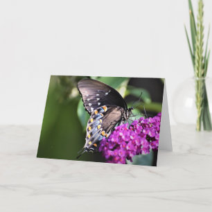 Butterfly, card