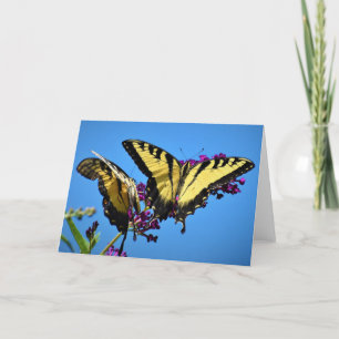 Butterfly, card