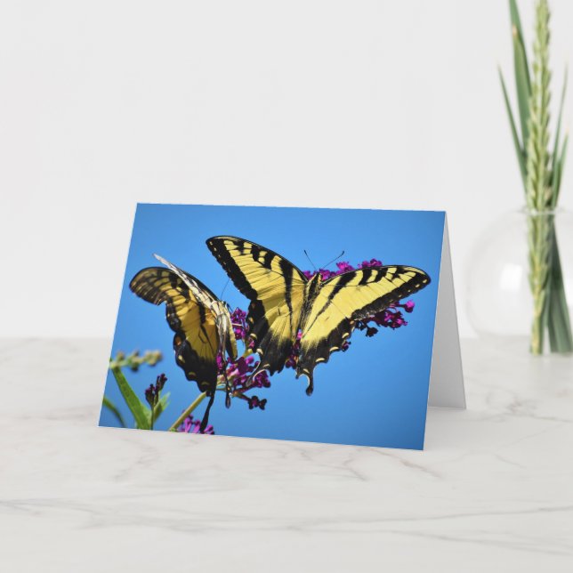 Butterfly, card (Front)