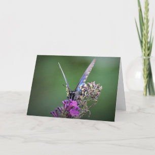 Butterfly, card