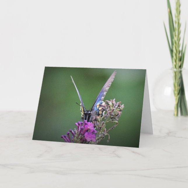 Butterfly, card (Front)