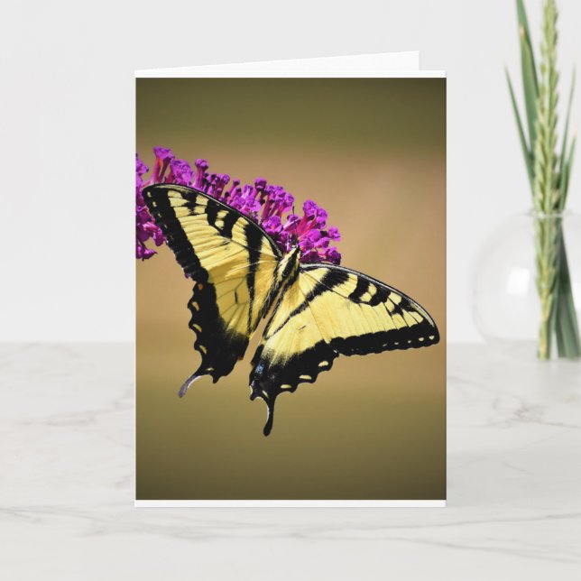 Butterfly, card (Front)