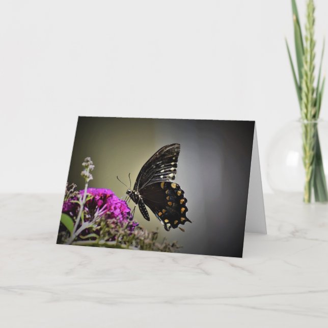 Butterfly, card (Front)