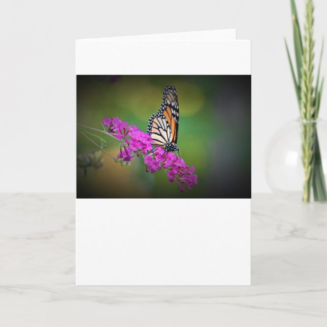 Butterfly, card (Front)