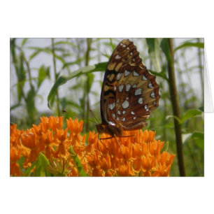 Butterfly Card (Blank on Inside)
