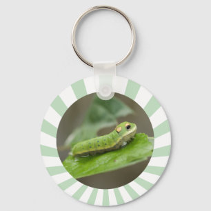 Butterfly Caterpillar Larva Key Ring