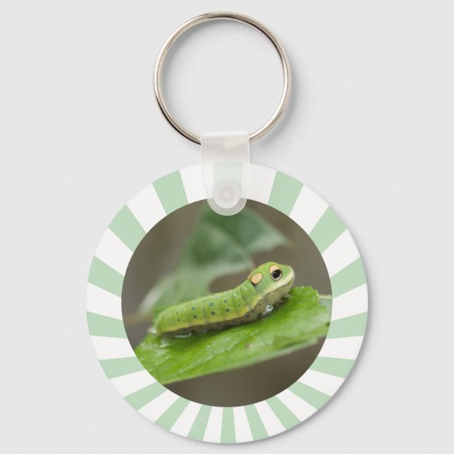 Butterfly Caterpillar Larva Key Ring (Front)