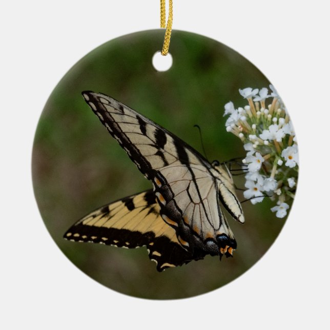 Butterfly Ceramic Ornament (Front)